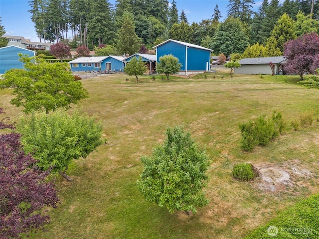 127 Springbrook Dr, Chehalis, WA 98532 - view of green lawn