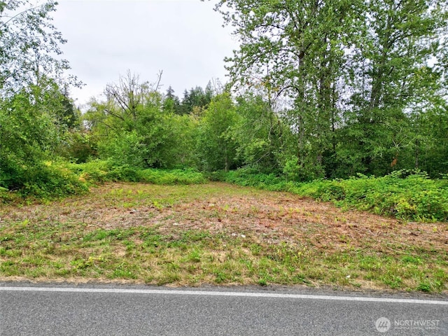 0 Wagner Rd, Monroe, WA 98272