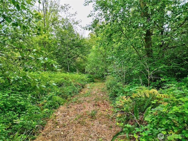 0 Wagner Rd, Monroe, WA 98272