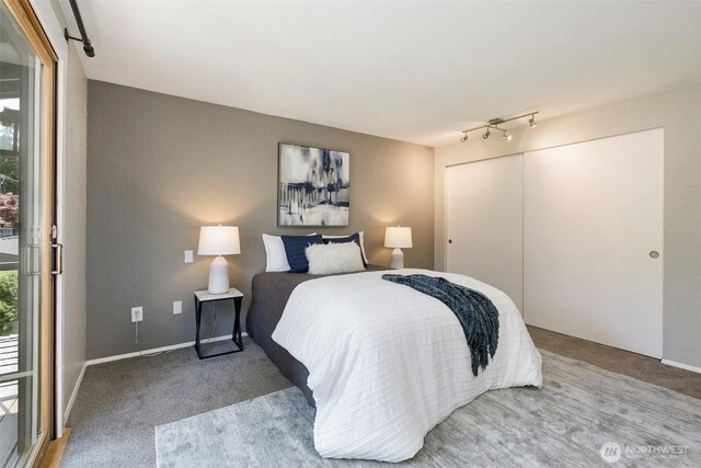 11520 3rd Ave NW, Seattle, WA 98177 - bedroom with carpet, a closet, and rail lighting