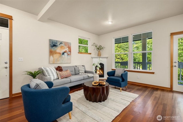 10290 NE Ruddy Duck Ln, Bainbridge Island, WA 98110 - living area featuring wood finished floors and a warm lit fireplace