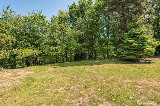 723 W 15th St, Port Angeles, WA 98363 - view of green lawn featuring a wooded view
