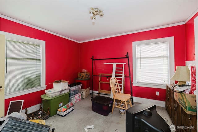 7936 E Main St, Port Orchard, WA 98366 - bedroom with ornamental molding and unfinished concrete flooring