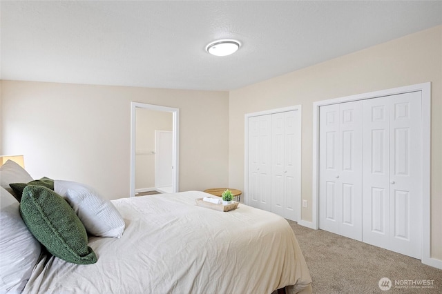 1320 N Oak Harbor St Unit 1, Oak Harbor, WA 98277 - bedroom with two closets and carpet floors