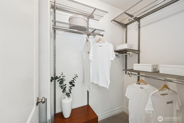 2551 Thorndyke Ave W Unit 203, Seattle, WA 98199 - walk in closet featuring carpet floors