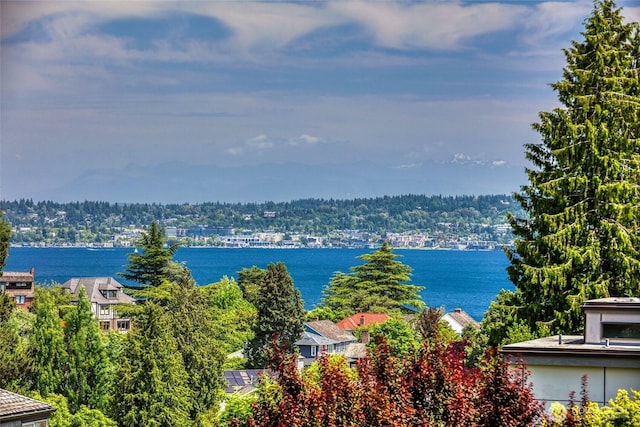 4712 NE 40th St, Seattle, WA 98105 - photo 15