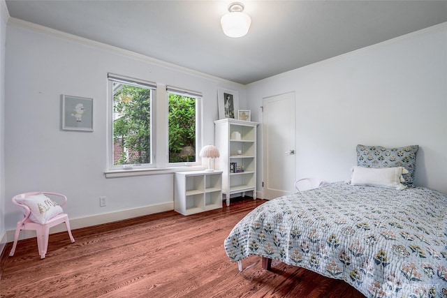 4712 NE 40th St, Seattle, WA 98105 - photo 20