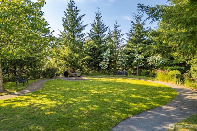 2211 56th St SE, Auburn, WA 98092 - view of green lawn