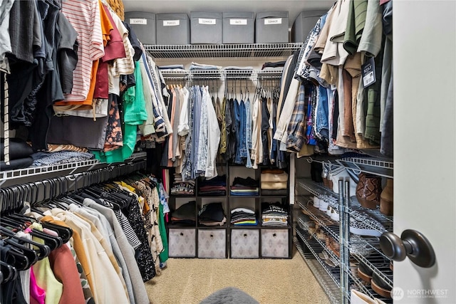 2211 56th St SE, Auburn, WA 98092 - walk in closet with carpet flooring
