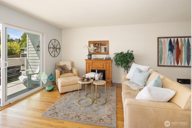 414 Lakeside Ave S Unit 13, Seattle, WA 98144 - living area featuring light wood-type flooring and a fireplace