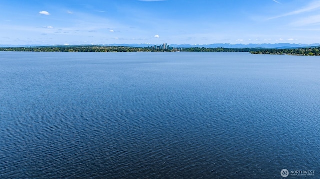 414 Lakeside Ave S Unit 13, Seattle, WA 98144 - water view