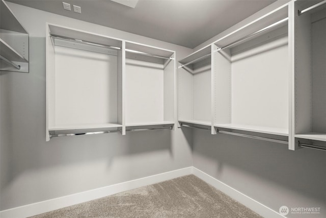 7176 Teal Loop, Gig Harbor, WA 98335 - walk in closet with carpet flooring