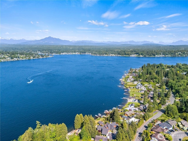 800 96th Ave NE Unit H202, Lake Stevens, WA 98258 - aerial overview of property's location with a water and mountain view