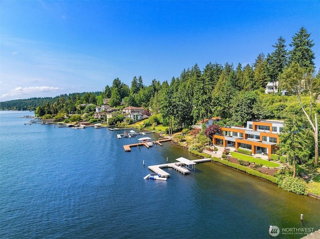 3840 E Mercer Way, Mercer Island, WA 98040 - water view featuring a boat dock