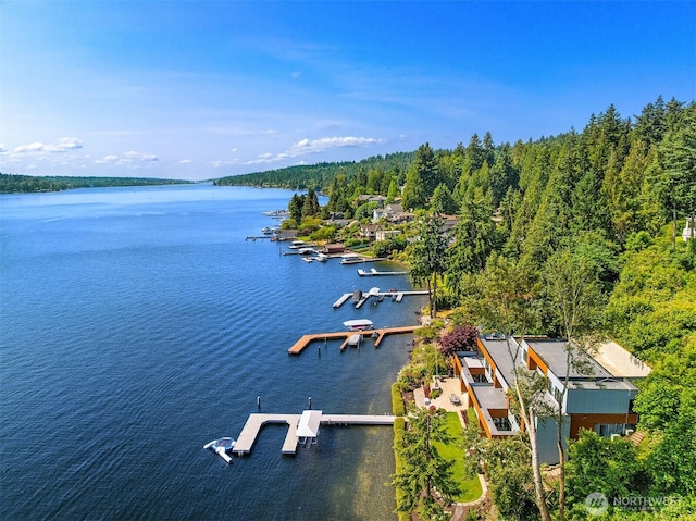 3840 E Mercer Way, Mercer Island, WA 98040 - aerial view of a nearby body of water and a heavily wooded area