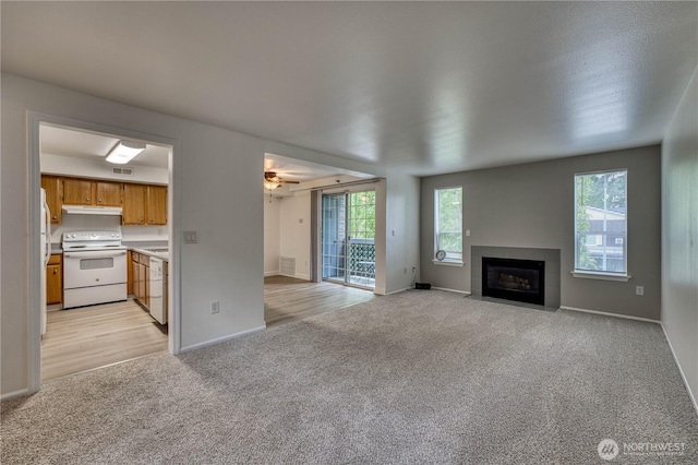 3939 10th St SE Unit D2, Puyallup, WA 98374 - photo 4
