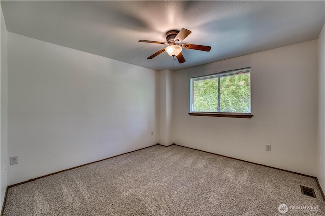 3939 10th St SE Unit D2, Puyallup, WA 98374 - photo 18