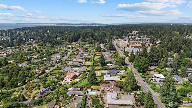 18035 8th Ave NW, Shoreline, WA 98177 - aerial view of residential area with a heavily wooded area