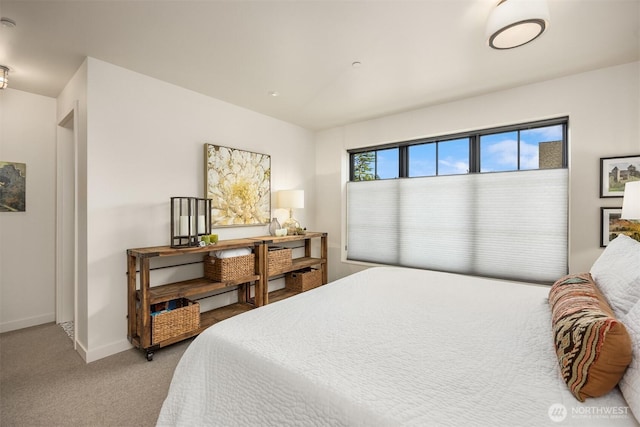 4566 Flying Goat Ave NE Unit C220, Bainbridge Island, WA 98110 - bedroom featuring baseboards and light carpet