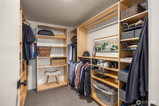 4566 Flying Goat Ave NE Unit C220, Bainbridge Island, WA 98110 - spacious closet with carpet flooring