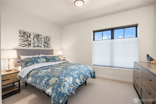 4566 Flying Goat Ave NE Unit C220, Bainbridge Island, WA 98110 - bedroom featuring baseboards and carpet flooring