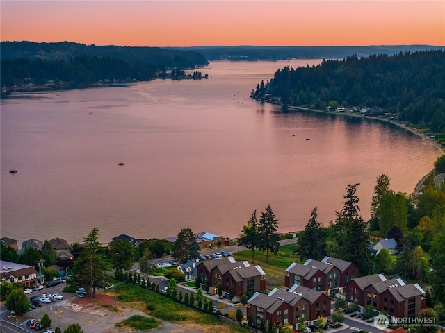 4566 Flying Goat Ave NE Unit C220, Bainbridge Island, WA 98110 - aerial view at dusk of a water view and a view of trees