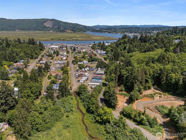 620 Willapa Ave, South Bend, WA 98596 - photo 2