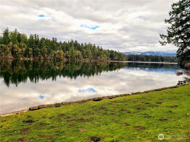 17922 Overlake Ct SE, Yelm, WA 98597 - photo 18