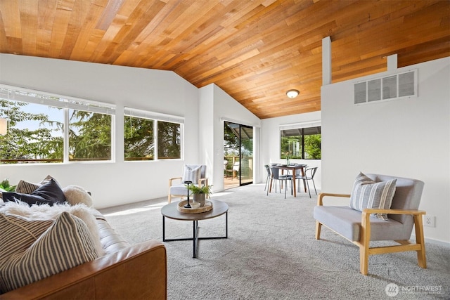 606 N State St, Bellingham, WA 98225 - carpeted living room with wooden ceiling and vaulted ceiling
