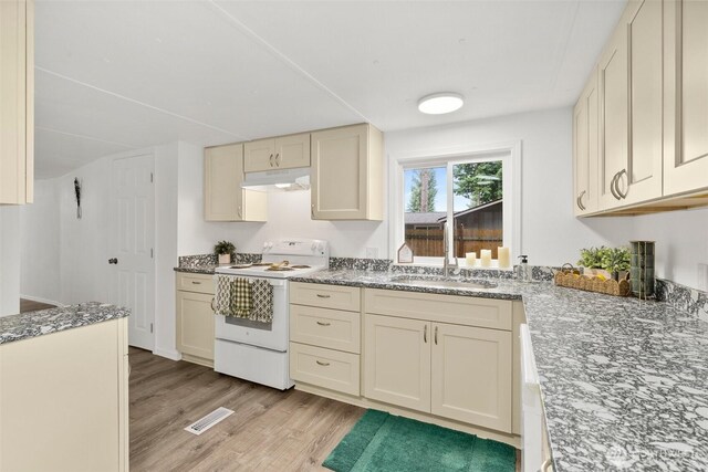 8725 Whitewood Loop SE, Yelm, WA 98597 - photo 5