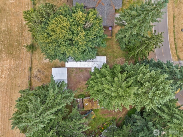 8725 Whitewood Loop SE, Yelm, WA 98597 - photo 16
