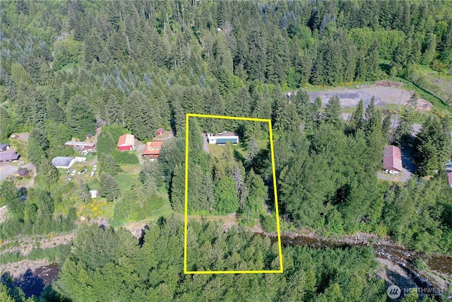 429 Mineral Creek Rd, Mineral, WA 98355 - photo 3