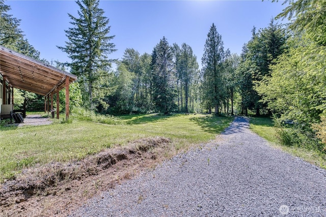 429 Mineral Creek Rd, Mineral, WA 98355 - photo 21