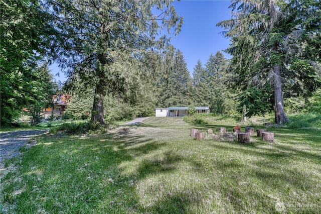 429 Mineral Creek Rd, Mineral, WA 98355 - photo 22