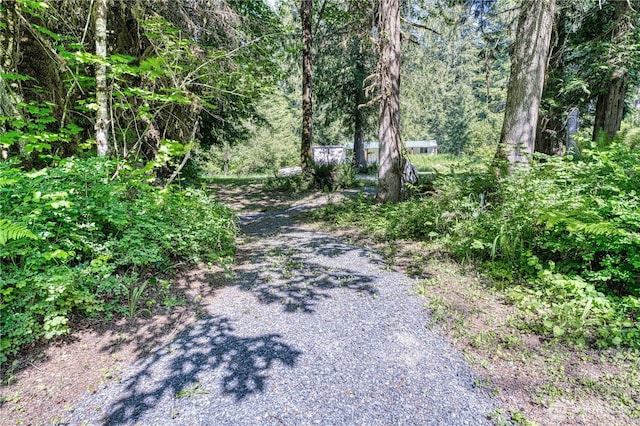 429 Mineral Creek Rd, Mineral, WA 98355 - photo 23