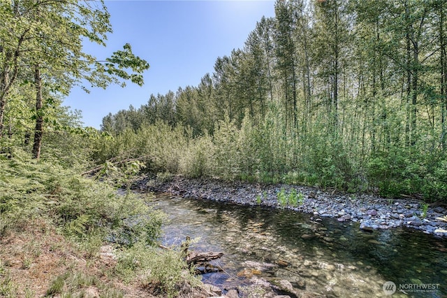 429 Mineral Creek Rd, Mineral, WA 98355 - photo 27