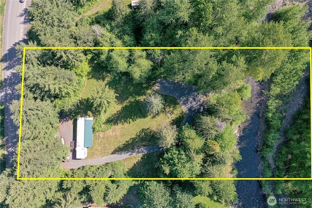 429 Mineral Creek Rd, Mineral, WA 98355 - photo 30