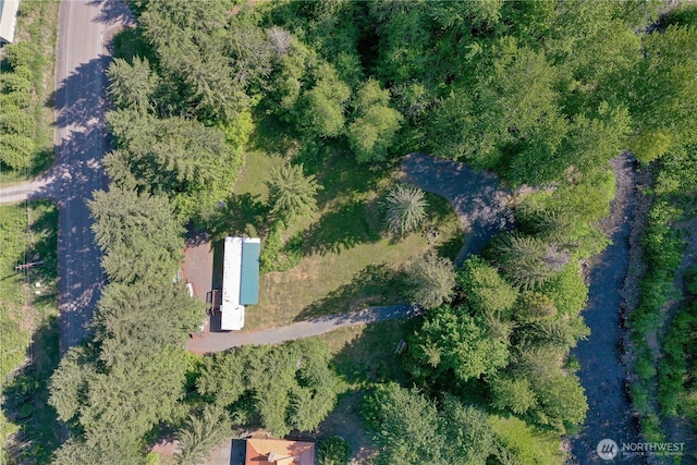 429 Mineral Creek Rd, Mineral, WA 98355 - photo 33