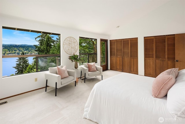 5665 E Mercer Way, Mercer Island, WA 98040 - bedroom featuring light colored carpet, two closets, and vaulted ceiling
