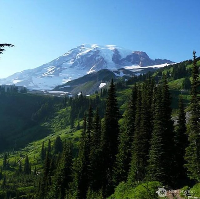 118 Pyramid Pl, Ashford, WA 98304 - view of mountain background with a forest