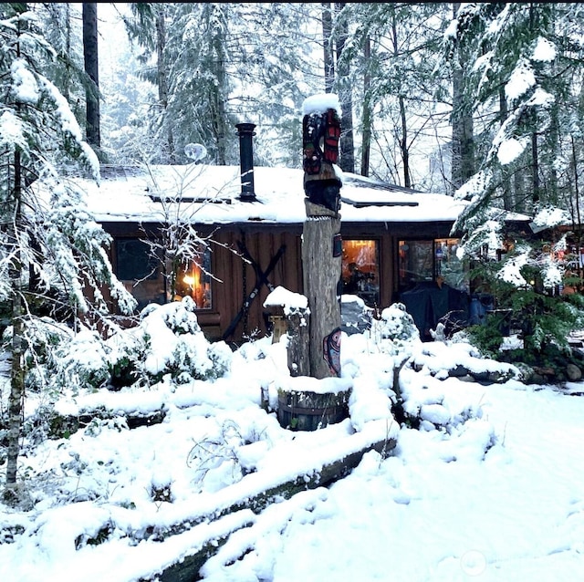 118 Pyramid Pl, Ashford, WA 98304 - view of snow covered exterior