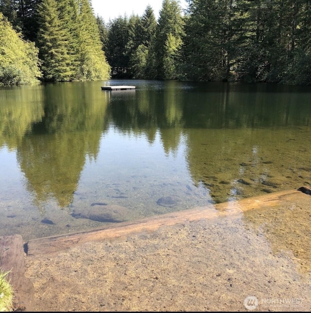 118 Pyramid Pl, Ashford, WA 98304 - water view with a heavily wooded area