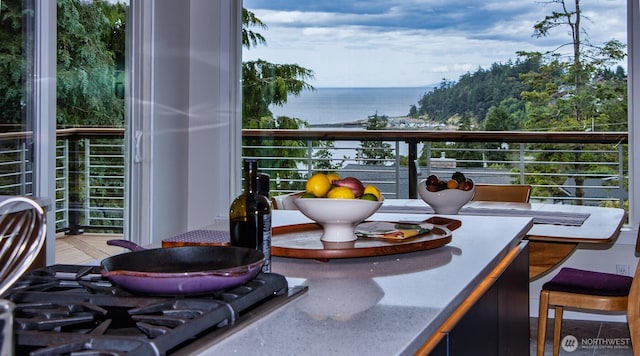 220 Colman Dr, Port Townsend, WA 98368 - balcony with a water view