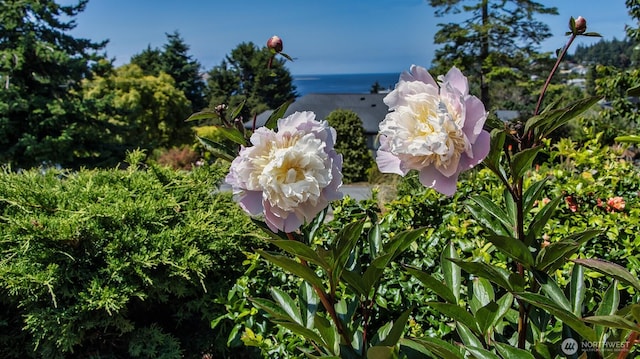 220 Colman Dr, Port Townsend, WA 98368 - exterior view