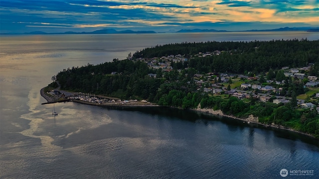 220 Colman Dr, Port Townsend, WA 98368 - aerial view of property and surrounding area with a water and mountain view