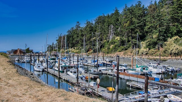220 Colman Dr, Port Townsend, WA 98368 - dock area with a water view and view of marina