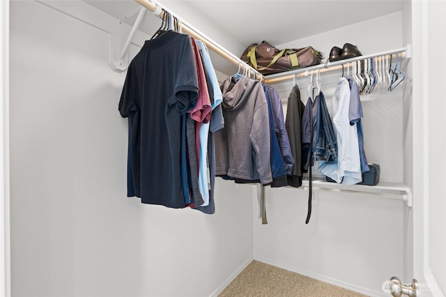 928 N Washington Ct, Moses Lake, WA 98837 - walk in closet featuring carpet floors