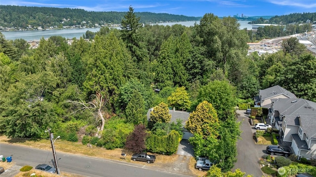 1412 N 40th St, Renton, WA 98056 - aerial view of a heavily wooded area and a large body of water