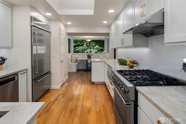 4662 95th Ave NE, Yarrow Point, WA 98004 - kitchen with premium appliances, under cabinet range hood, backsplash, light wood-type flooring, and recessed lighting