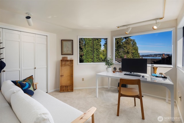 4662 95th Ave NE, Yarrow Point, WA 98004 - office with light carpet and rail lighting